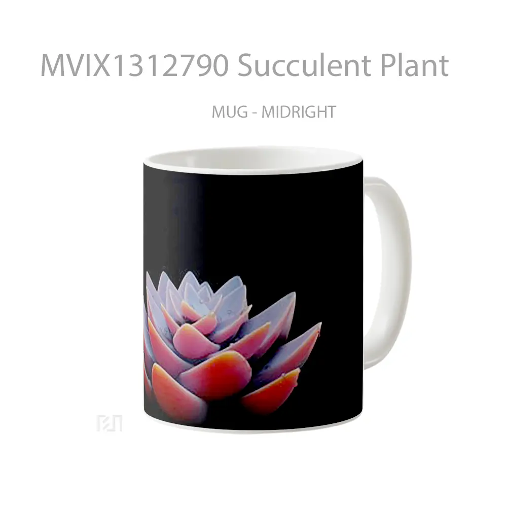 Mug Succulent Plant Gelas Keramik Unik - All-side / Desain