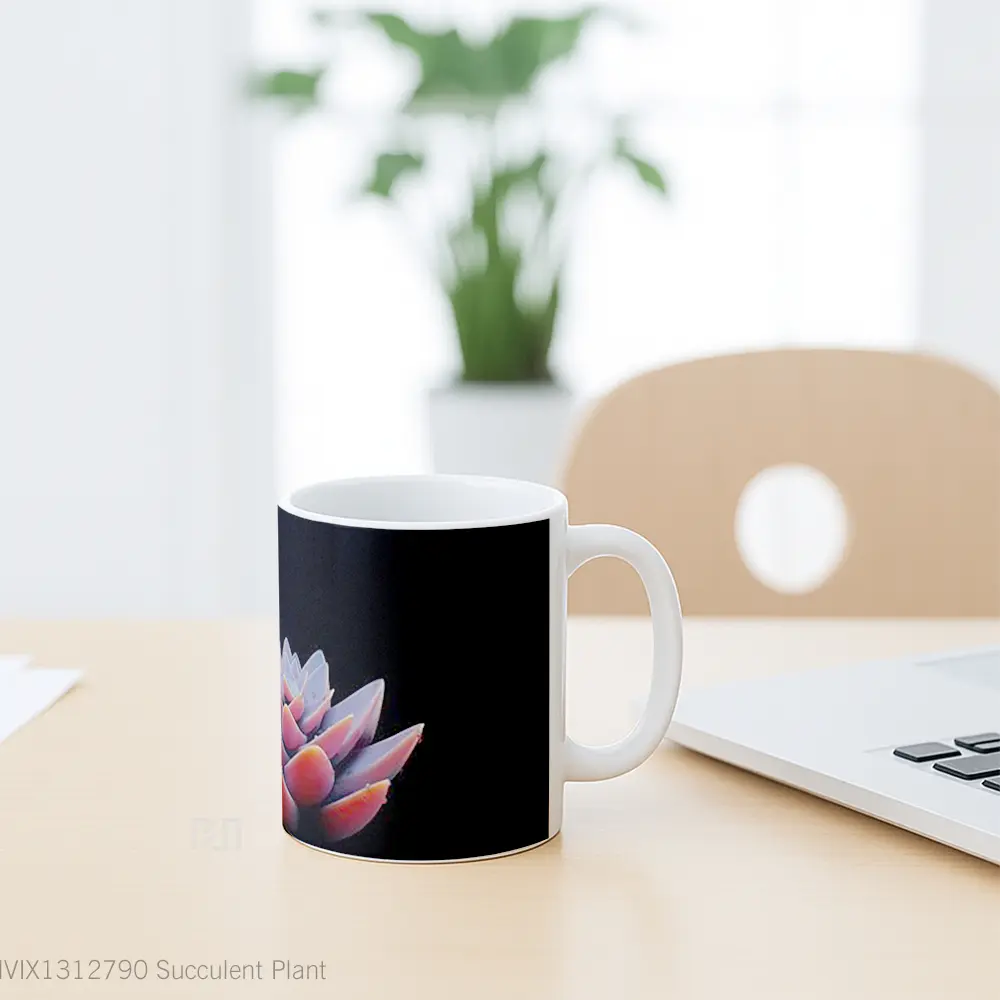 Mug Succulent Plant Gelas Keramik Unik - All-side / Desain