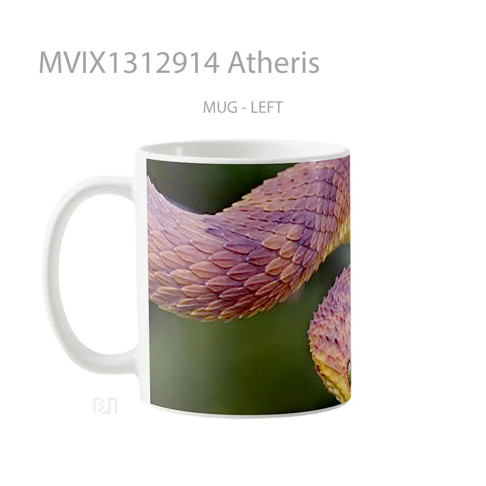 Mug Atheris Gelas Keramik Unik - All-side / Desain