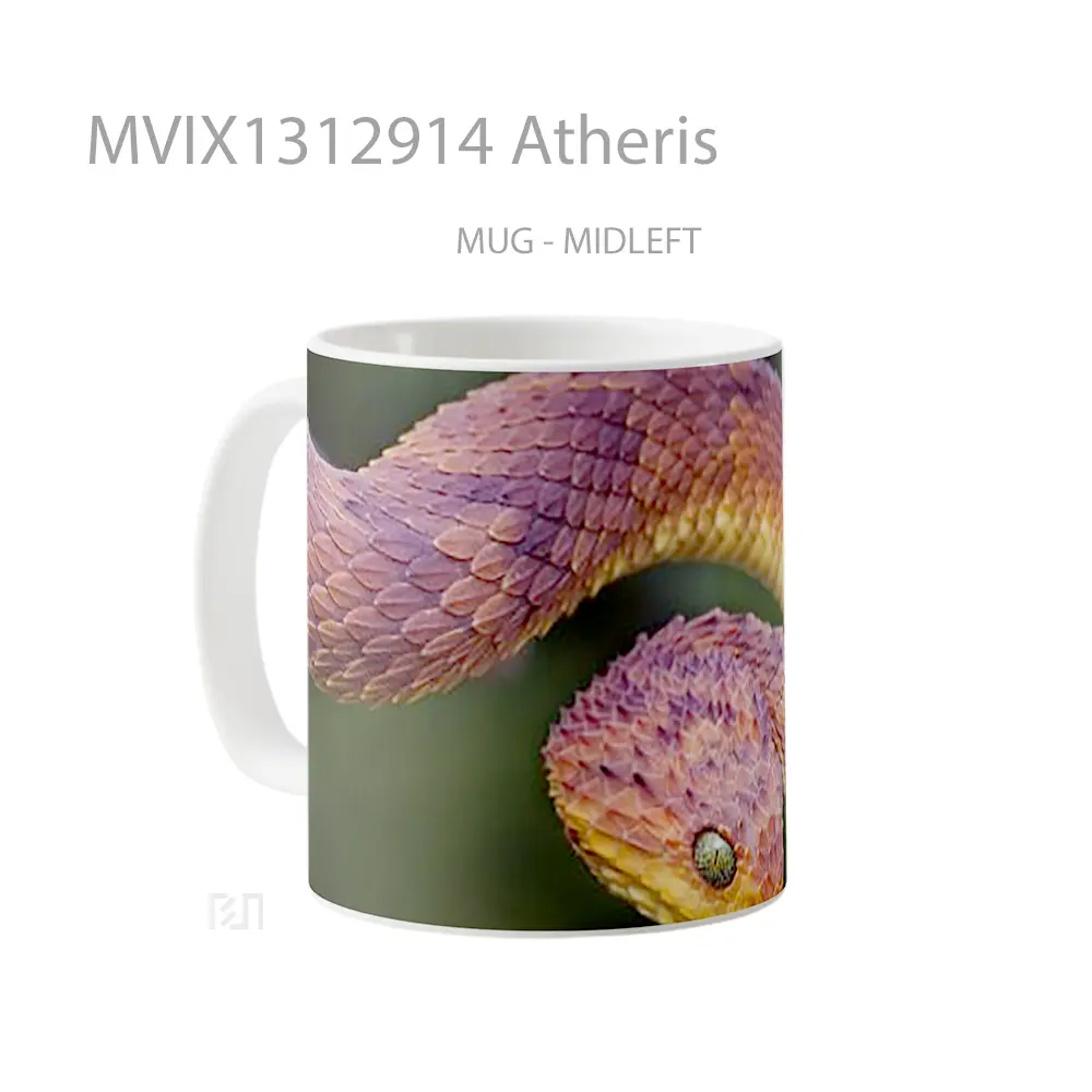 Mug Atheris Gelas Keramik Unik - All-side / Desain