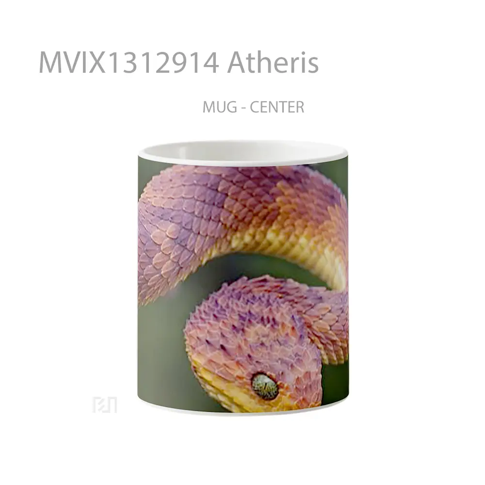 Mug Atheris Gelas Keramik Unik