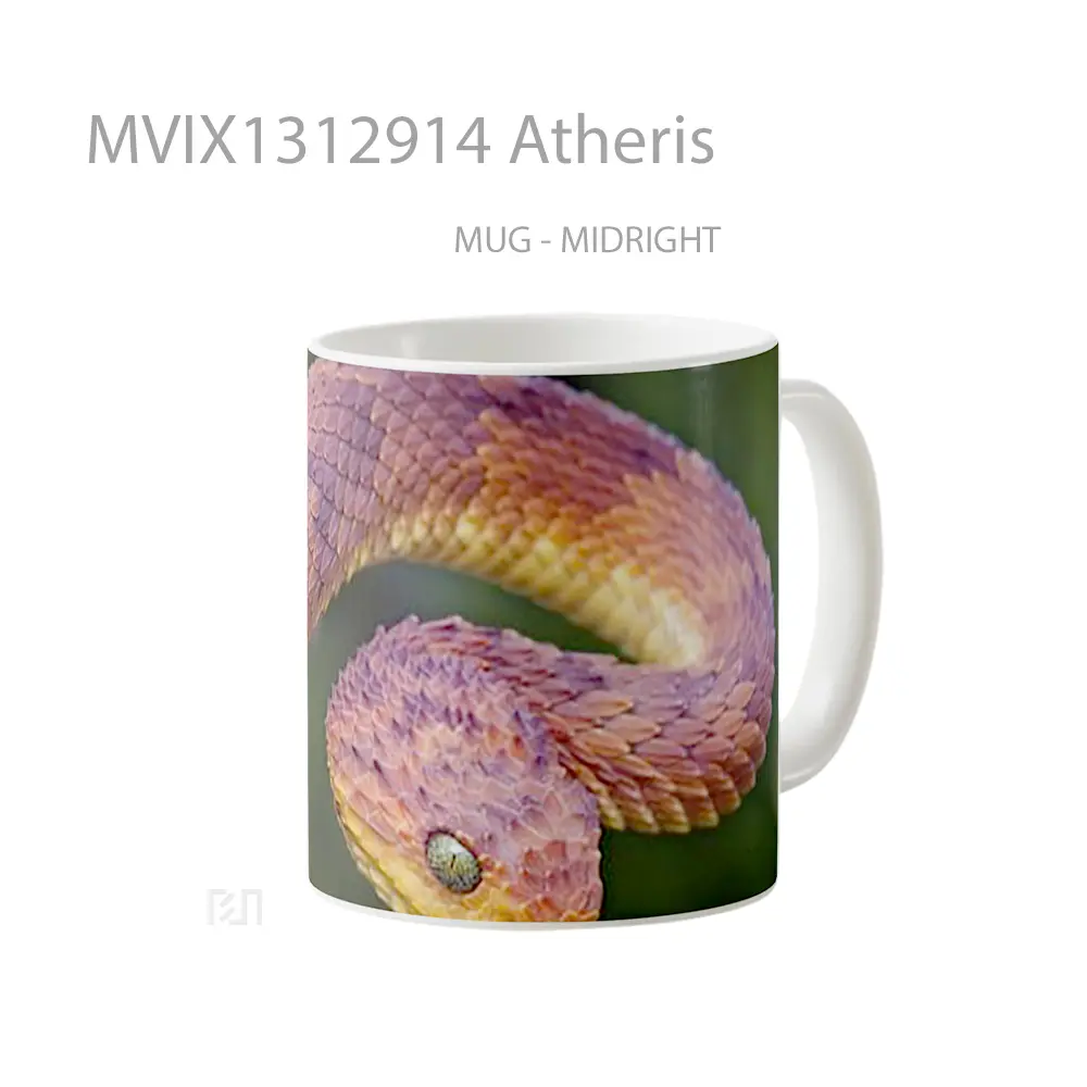 Mug Atheris Gelas Keramik Unik - All-side / Desain