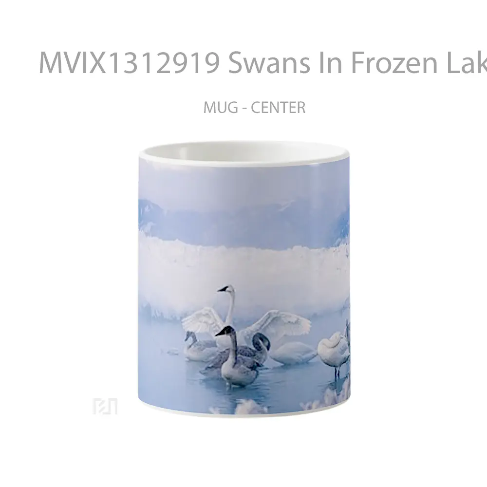 Mug Swans In Frozen Lake Gelas Pemandangan Alam