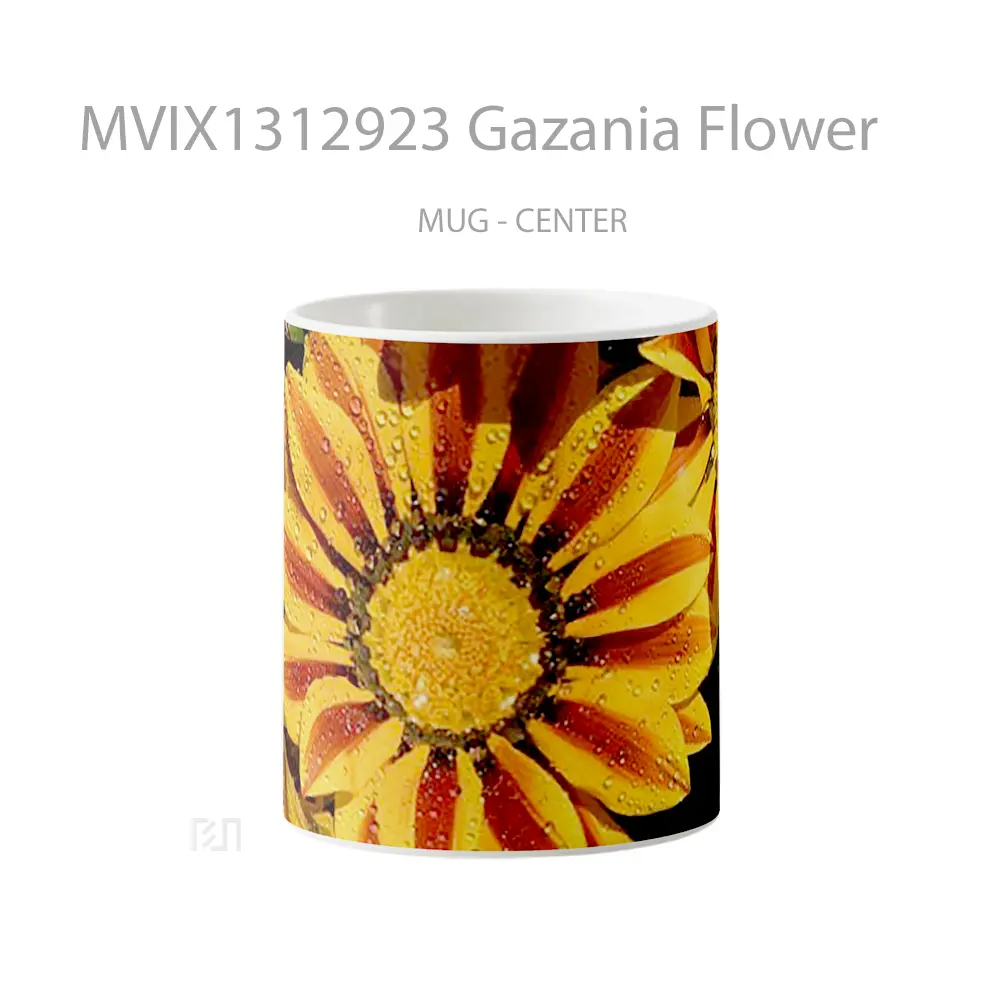 Mug Gazania Flower Gelas Pemandangan Alam