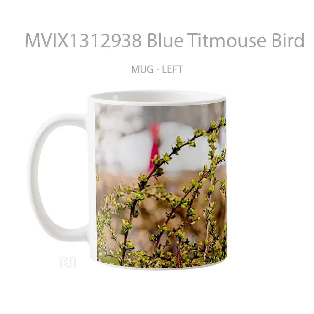 Mug Blue Titmouse Bird Gelas Hewan Lucu - All-side / Desain
