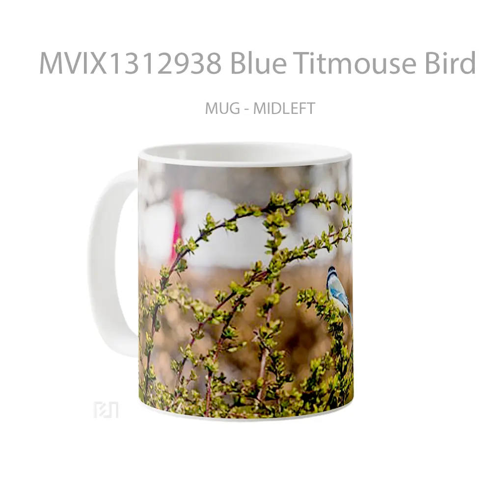 Mug Blue Titmouse Bird Gelas Hewan Lucu - All-side / Desain