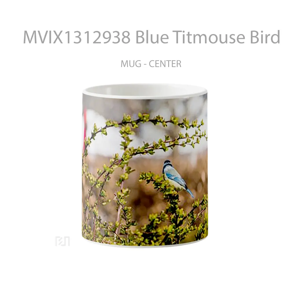 Mug Blue Titmouse Bird Gelas Hewan Lucu