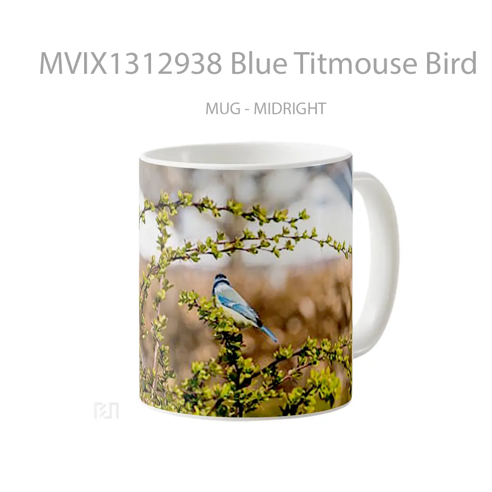 Mug Blue Titmouse Bird Gelas Hewan Lucu - All-side / Desain