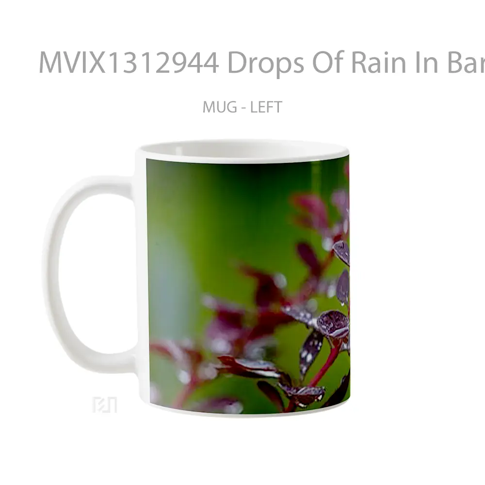 Mug Drops Of Rain In Barberry Leaves Gelas Pemandangan Alam - All-side / Desain