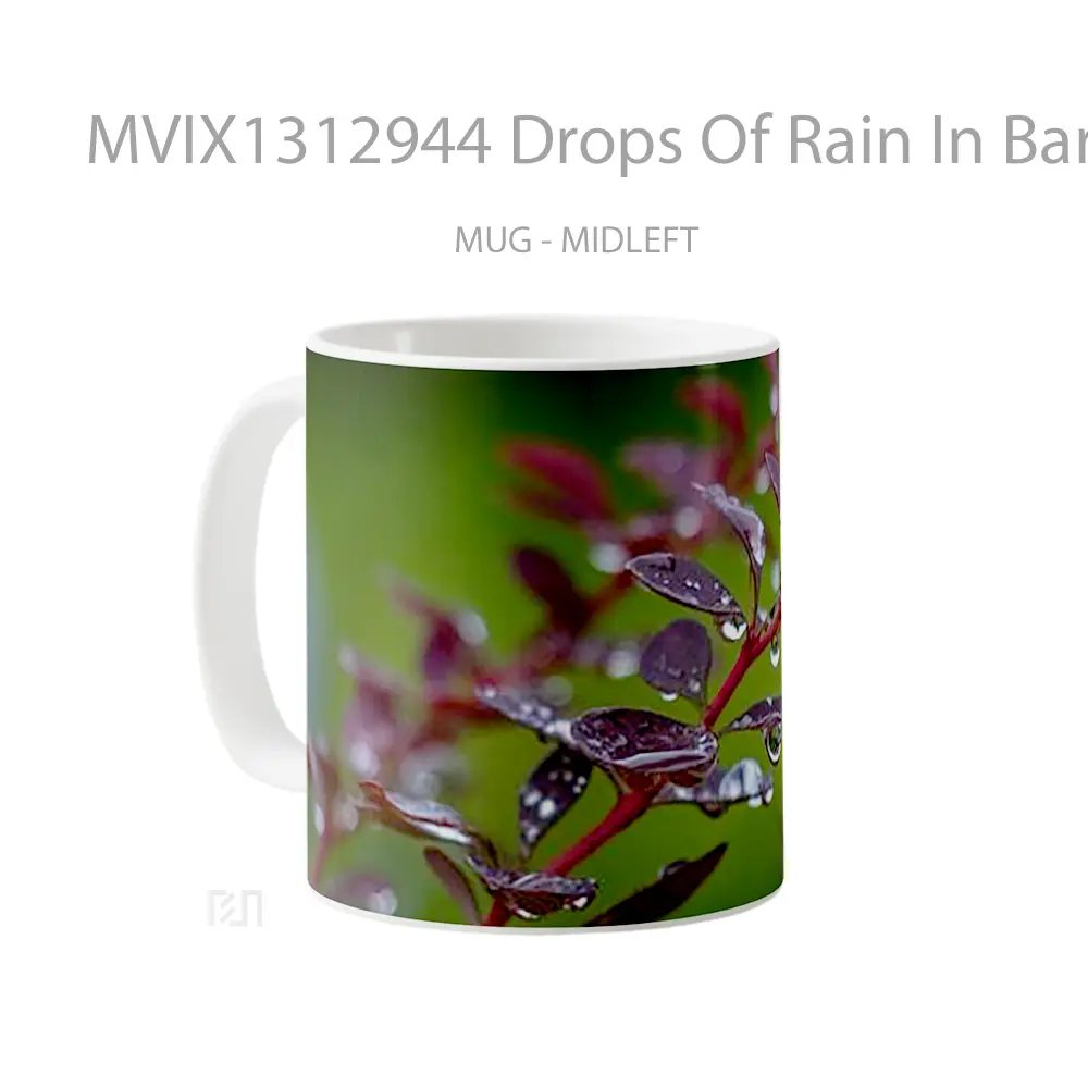 Mug Drops Of Rain In Barberry Leaves Gelas Pemandangan Alam - All-side / Desain