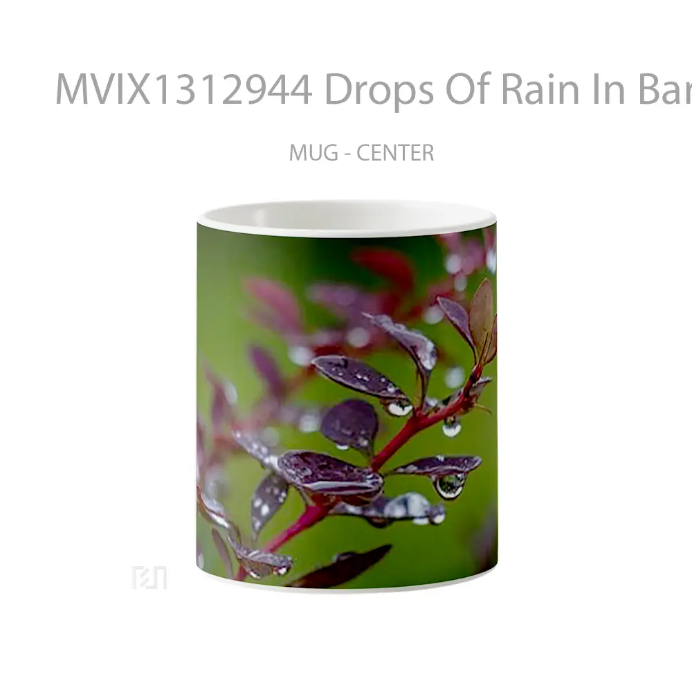 Mug Drops Of Rain In Barberry Leaves Gelas Pemandangan Alam