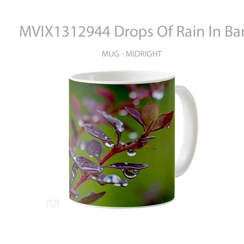 Mug Drops Of Rain In Barberry Leaves Gelas Pemandangan Alam - All-side / Desain