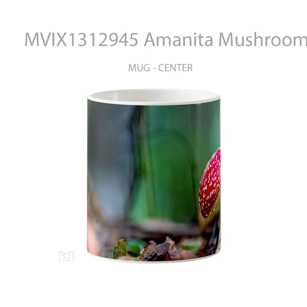 Mug Amanita Mushroom Gelas Keramik Unik