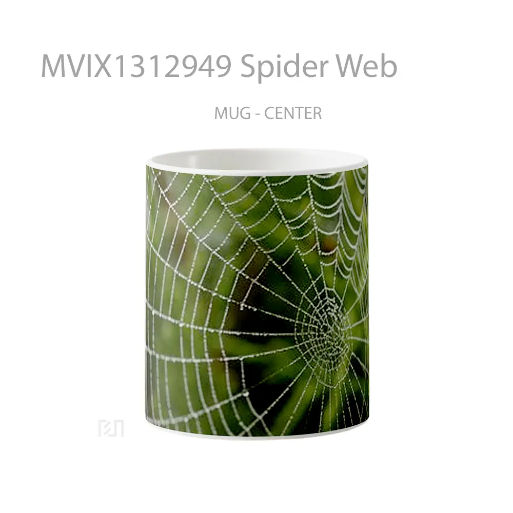 Mug Spider Web Gelas Keramik Unik