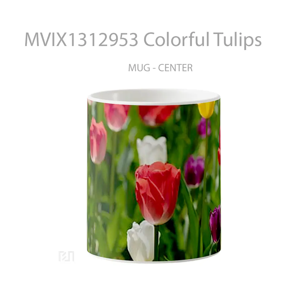 Mug Colorful Tulips Gelas Keramik Unik