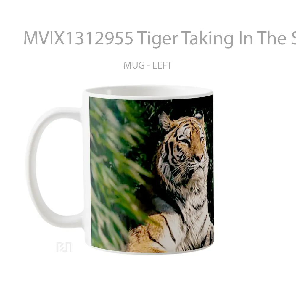 Mug Tiger Taking In The Sun Gelas Hewan Lucu - All-side / Desain
