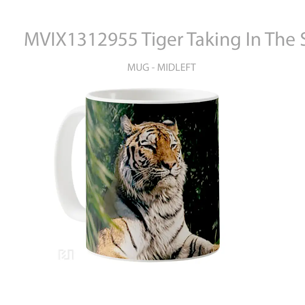 Mug Tiger Taking In The Sun Gelas Hewan Lucu - All-side / Desain