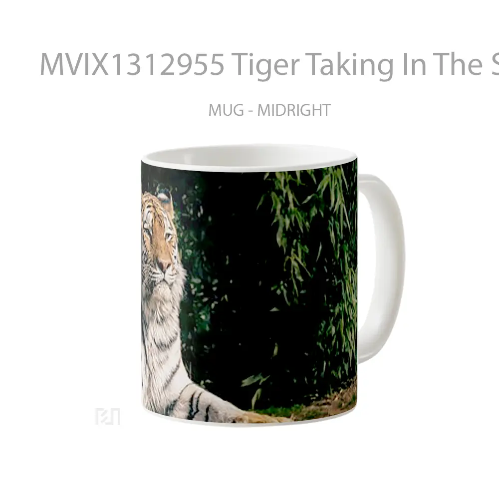 Mug Tiger Taking In The Sun Gelas Hewan Lucu - All-side / Desain