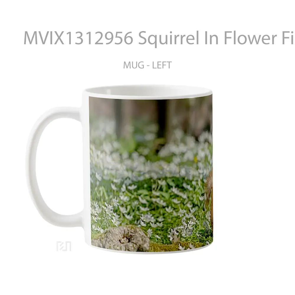 Mug Squirrel In Flower Field Gelas Pemandangan Alam - All-side / Desain