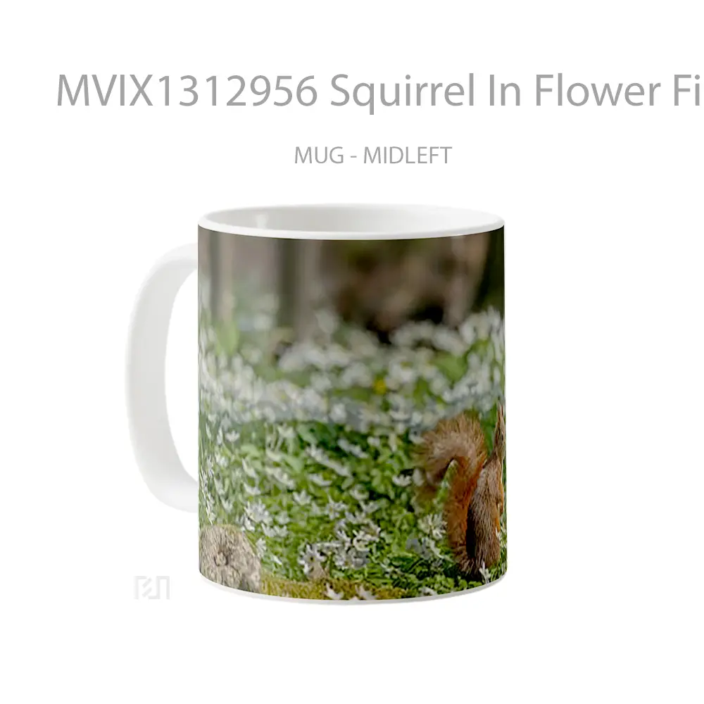 Mug Squirrel In Flower Field Gelas Pemandangan Alam - All-side / Desain