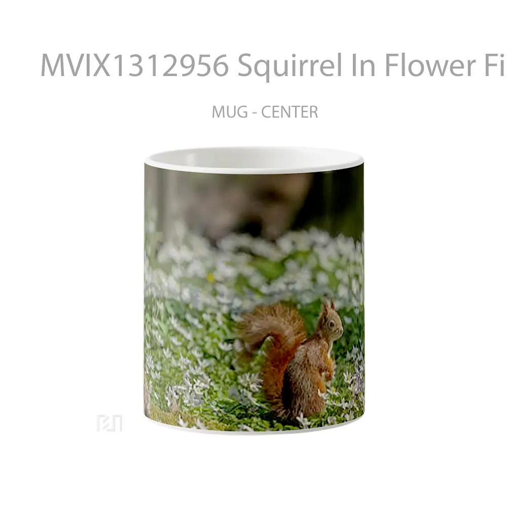 Mug Squirrel In Flower Field Gelas Pemandangan Alam