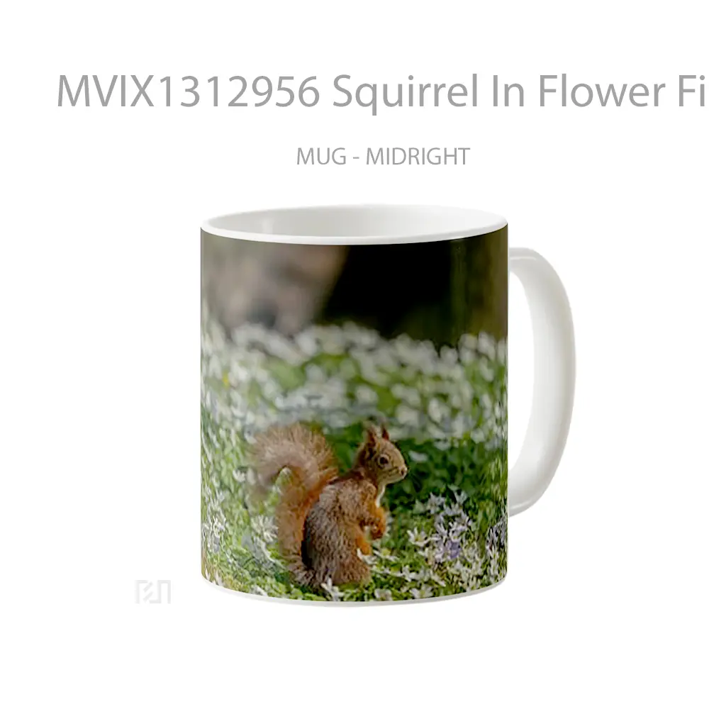 Mug Squirrel In Flower Field Gelas Pemandangan Alam - All-side / Desain