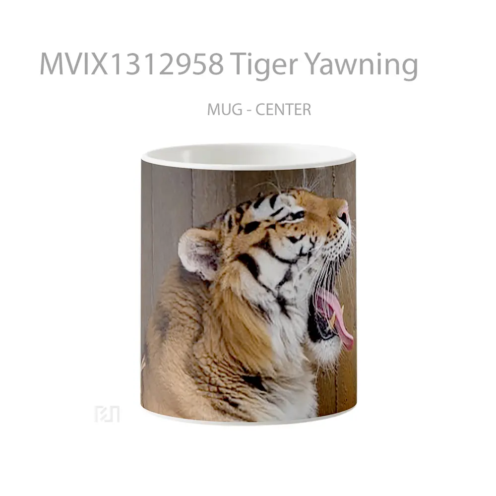 Mug Tiger Yawning Gelas Hewan Lucu