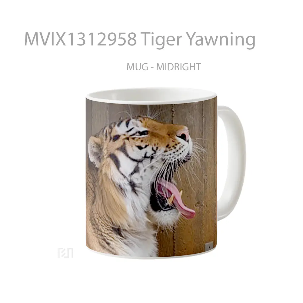 Mug Tiger Yawning Gelas Hewan Lucu - All-side / Desain