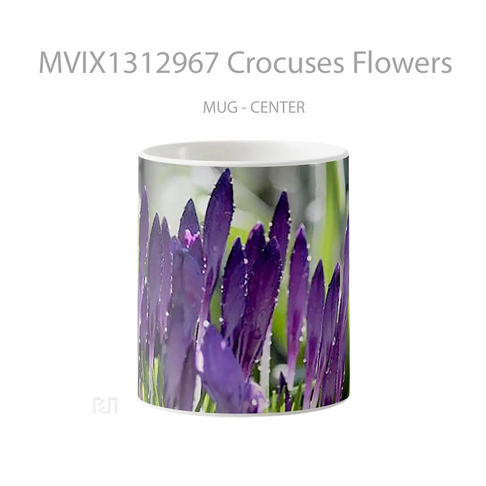 Mug Crocuses Flowers Gelas Pemandangan Alam