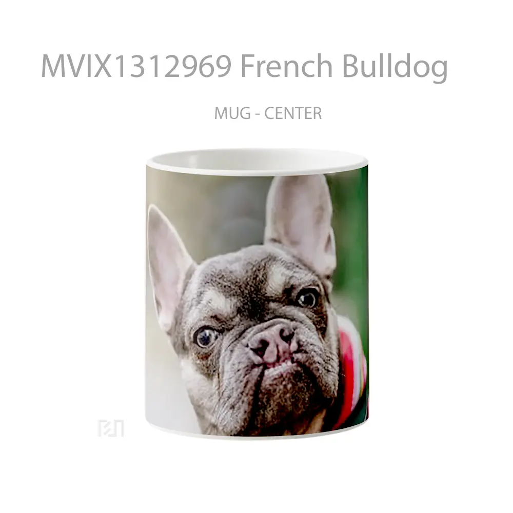 Mug French Bulldog Gelas Keramik Unik