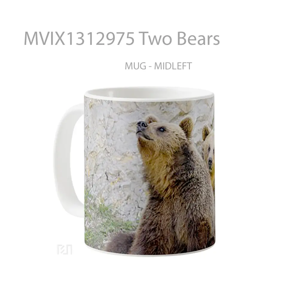 Mug Two Bears Gelas Hewan Lucu - All-side / Desain
