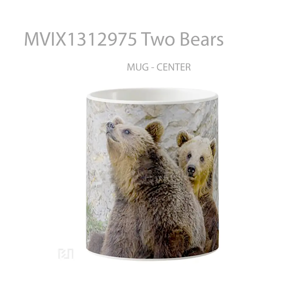 Mug Two Bears Gelas Hewan Lucu