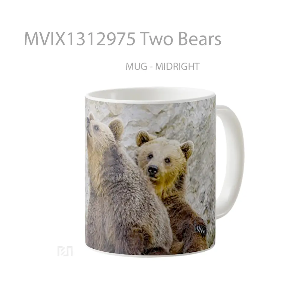 Mug Two Bears Gelas Hewan Lucu - All-side / Desain