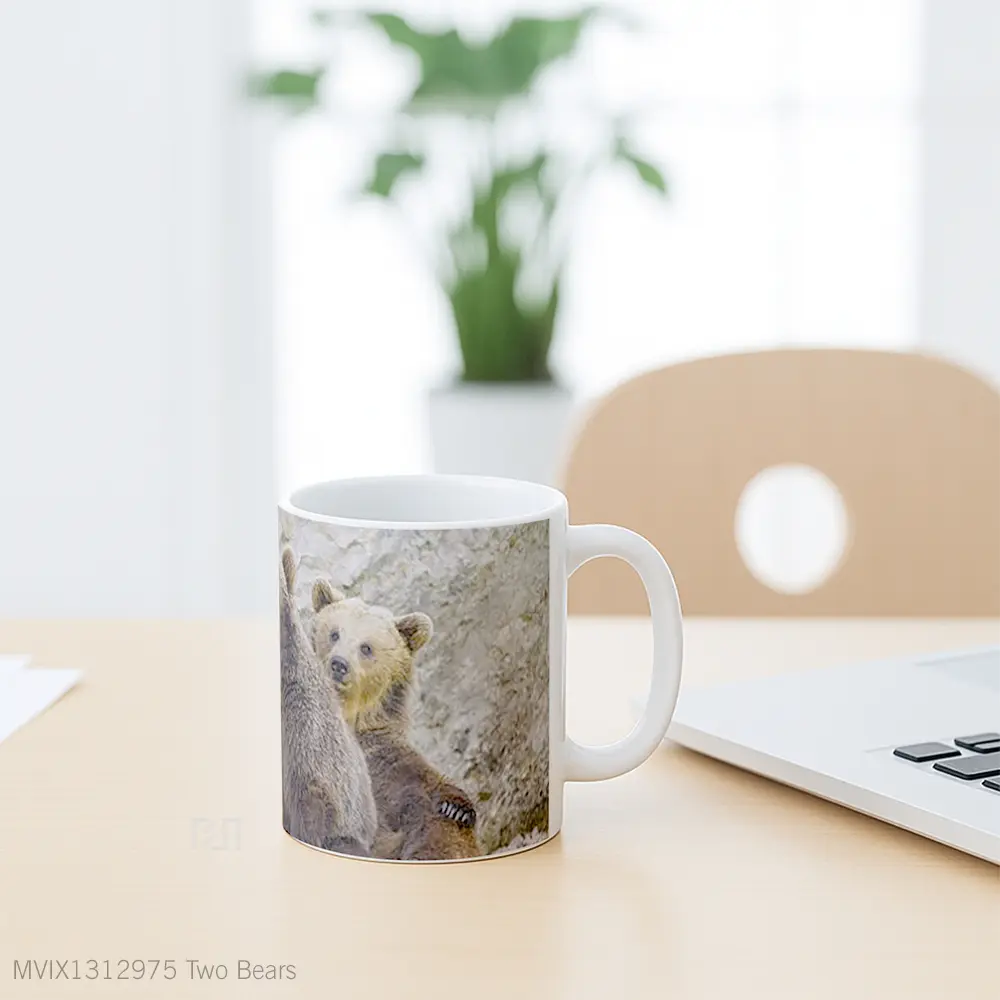 Mug Two Bears Gelas Hewan Lucu - All-side / Desain