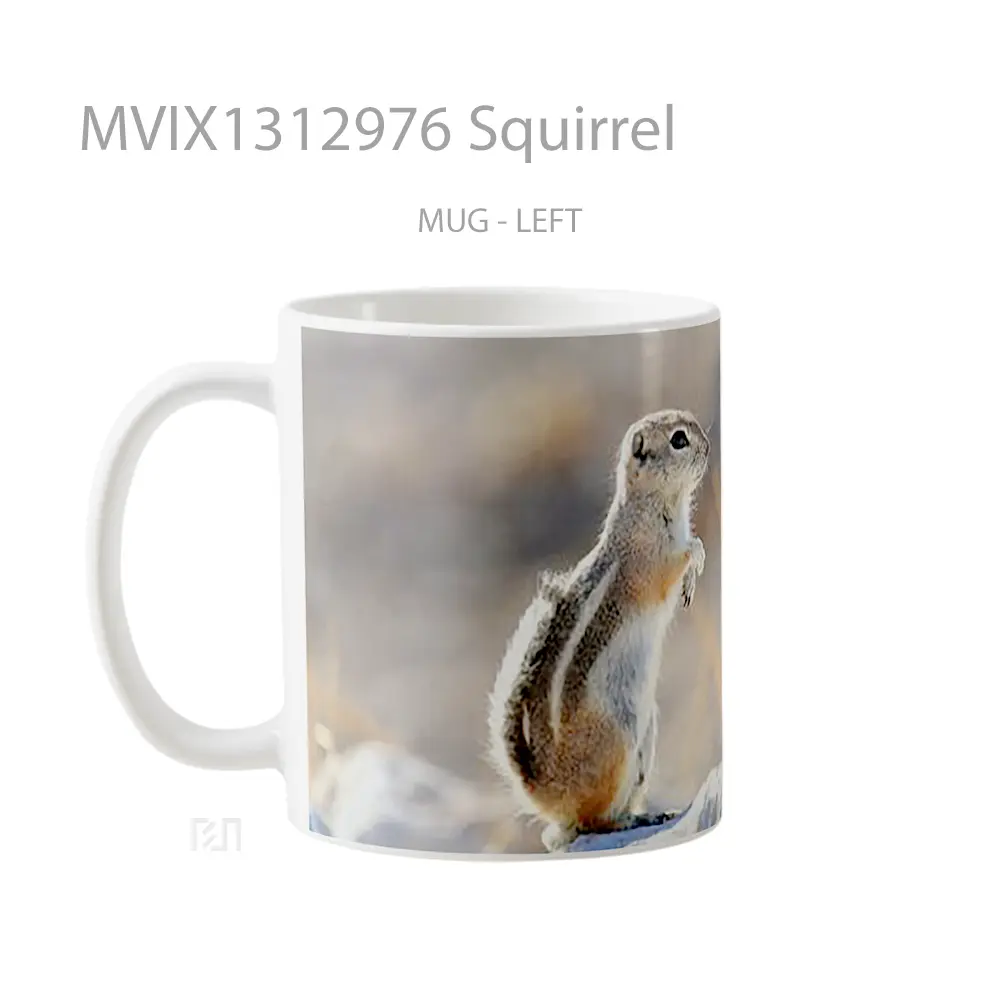 Mug Squirrel Gelas Keramik Unik - All-side / Desain