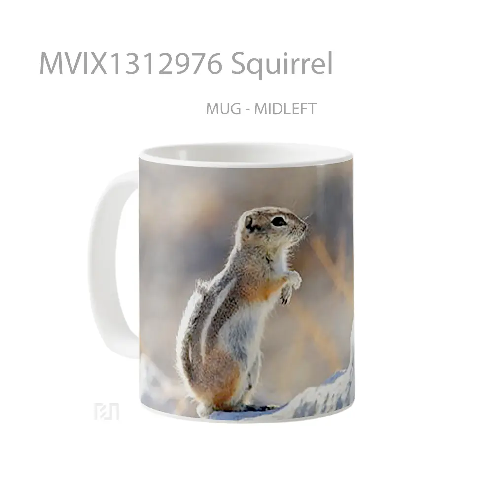 Mug Squirrel Gelas Keramik Unik - All-side / Desain