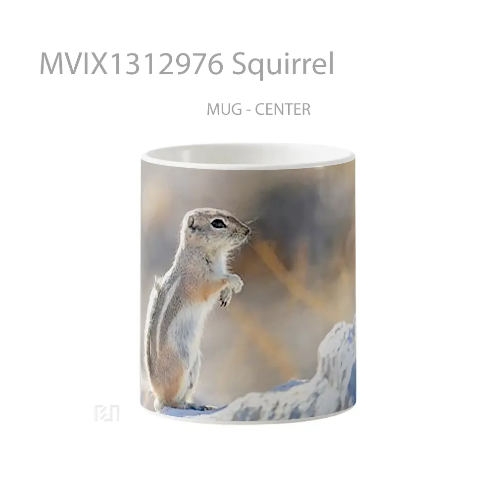 Mug Squirrel Gelas Keramik Unik