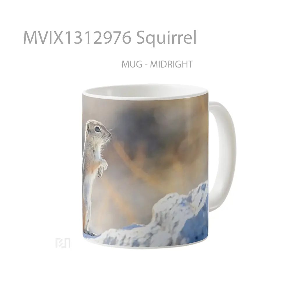 Mug Squirrel Gelas Keramik Unik - All-side / Desain