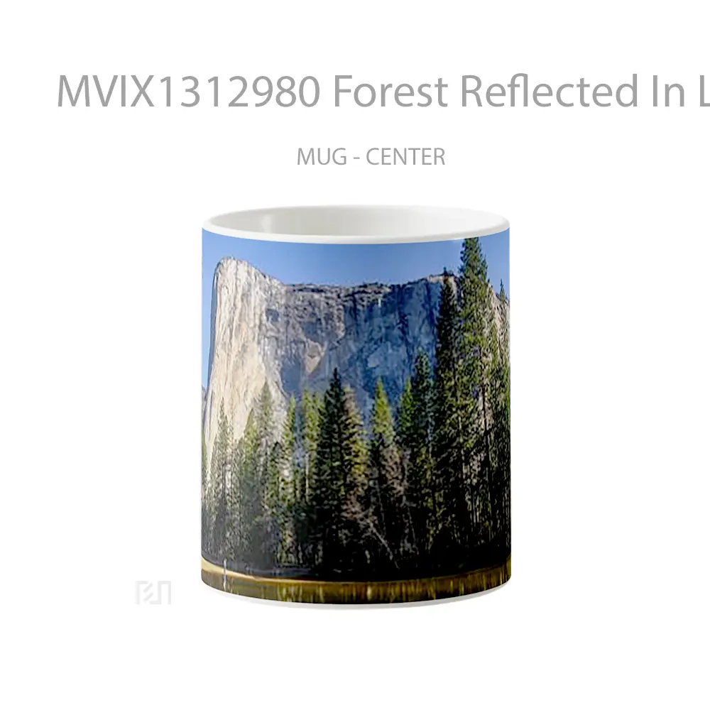 Mug Forest Reflected In Lake Gelas Pemandangan Alam