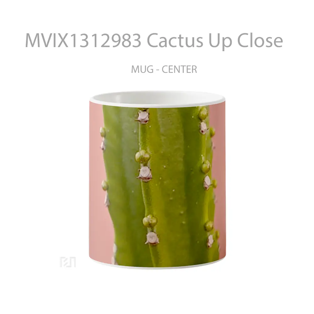 Mug Cactus Up Close Gelas Keramik Unik