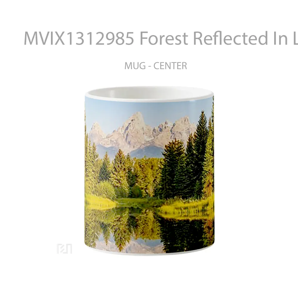 Mug Forest Reflected In Lake With Mountains In The Background Gelas Pemandangan Alam
