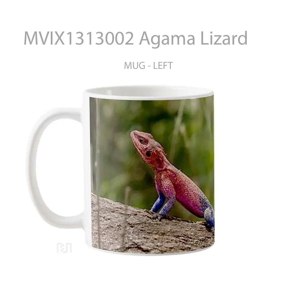 Mug Agama Lizard Gelas Keramik Unik - All-side / Desain