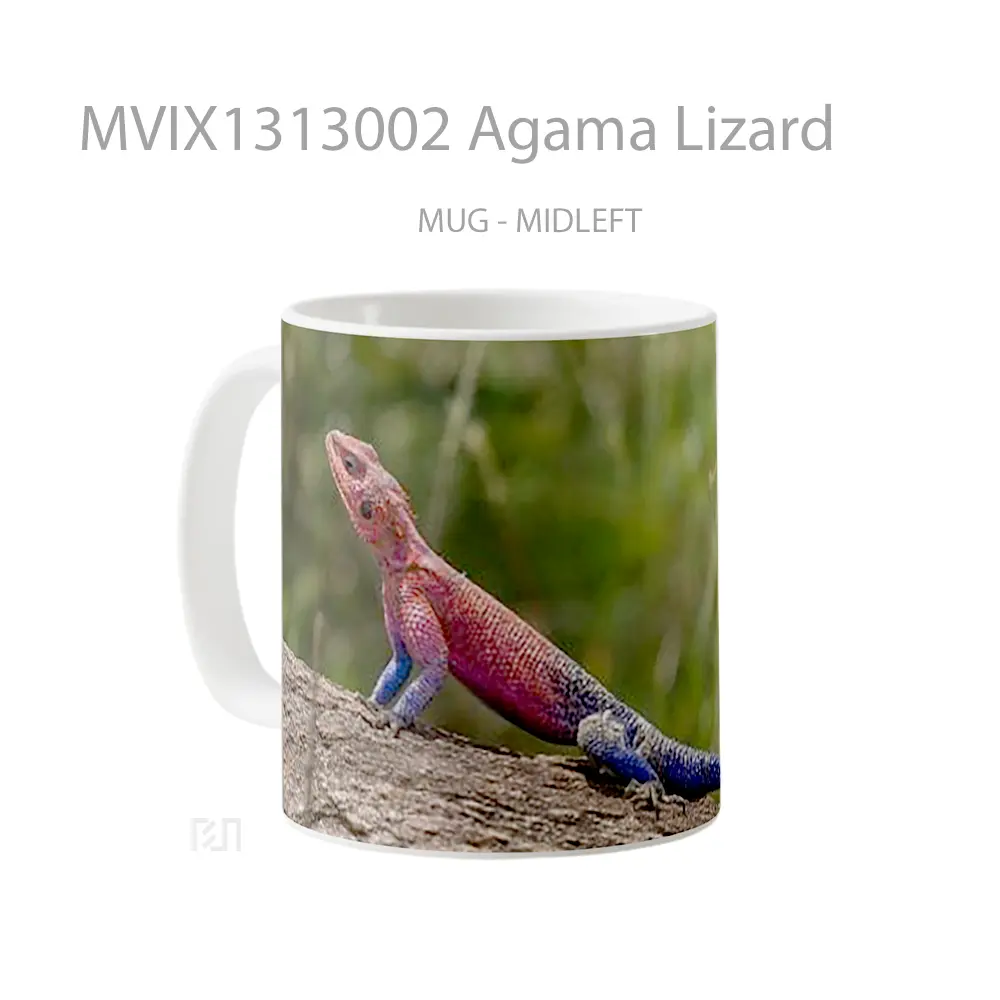 Mug Agama Lizard Gelas Keramik Unik - All-side / Desain