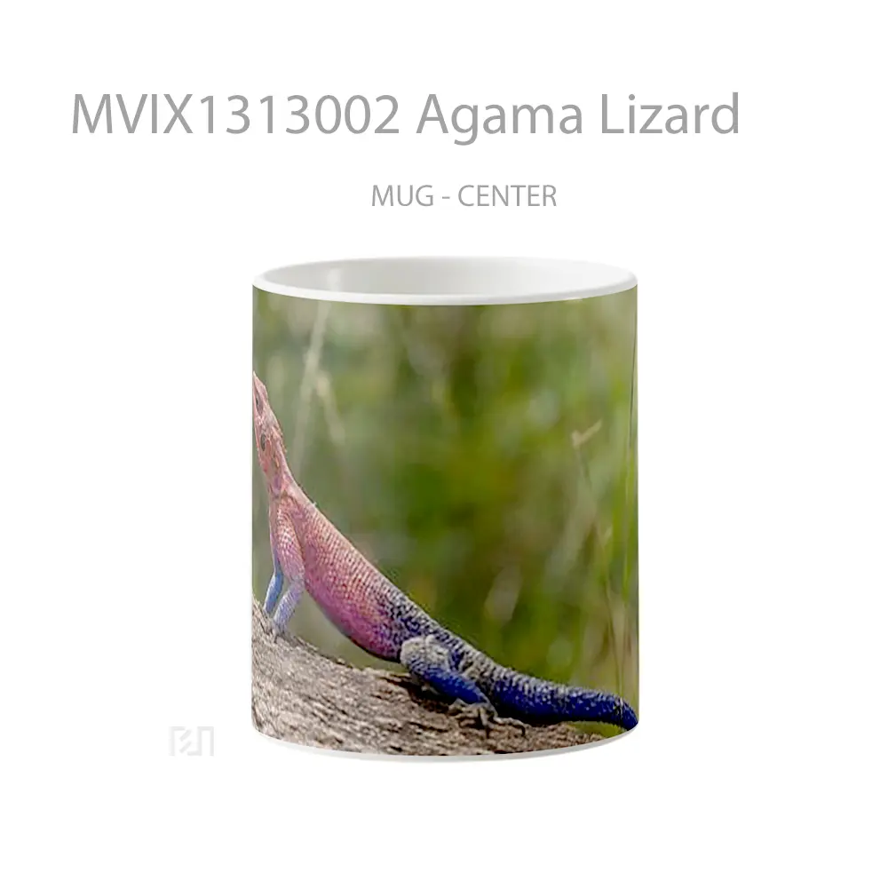 Mug Agama Lizard Gelas Keramik Unik