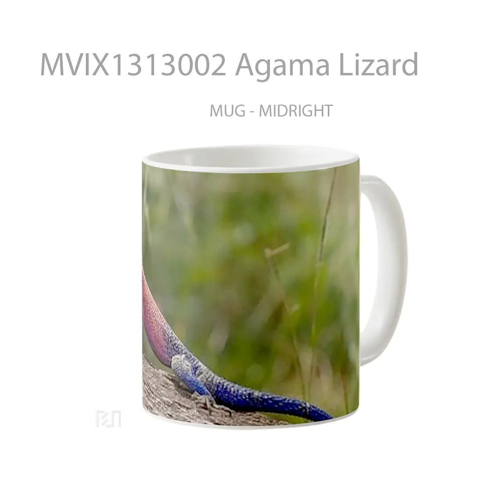 Mug Agama Lizard Gelas Keramik Unik - All-side / Desain