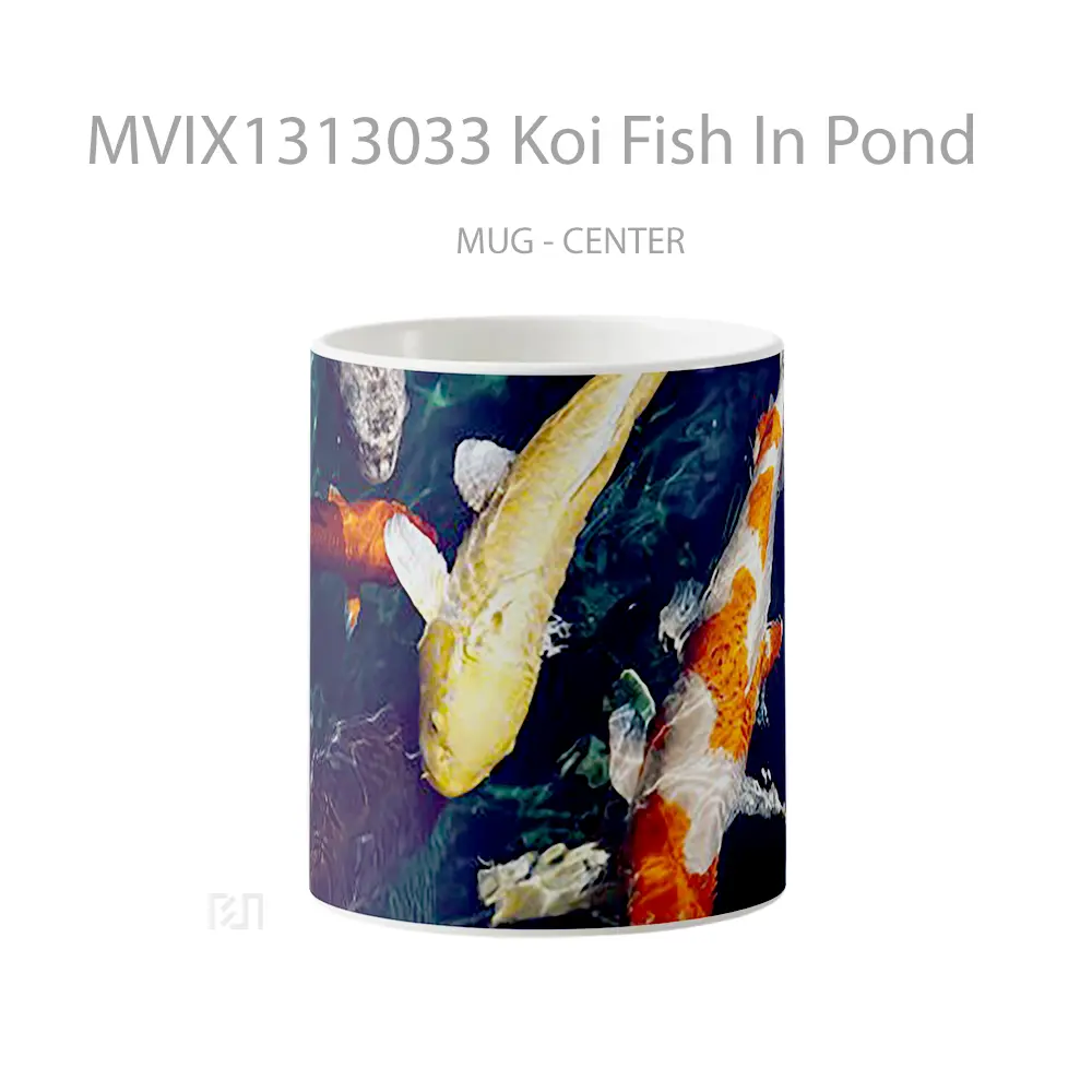 Mug Koi Fish In Pond Gelas Hewan Lucu