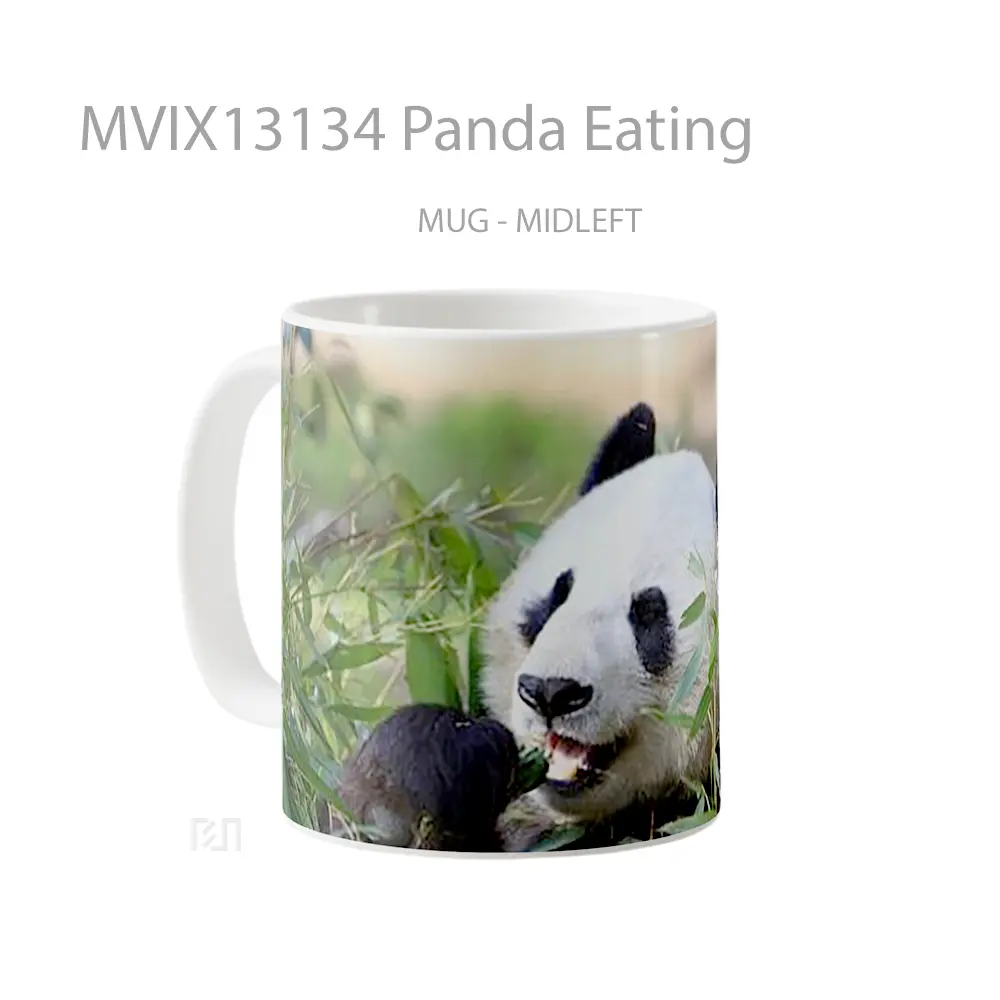 Mug Panda Eating Gelas Hewan Lucu - All-side / Desain