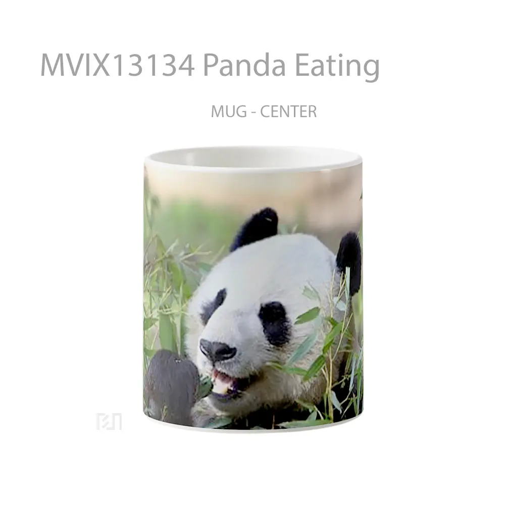 Mug Panda Eating Gelas Hewan Lucu