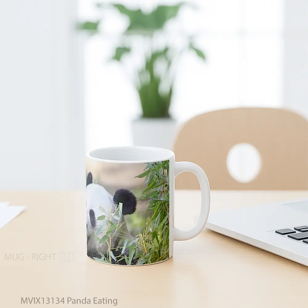 Mug Panda Eating Gelas Hewan Lucu - All-side / Desain