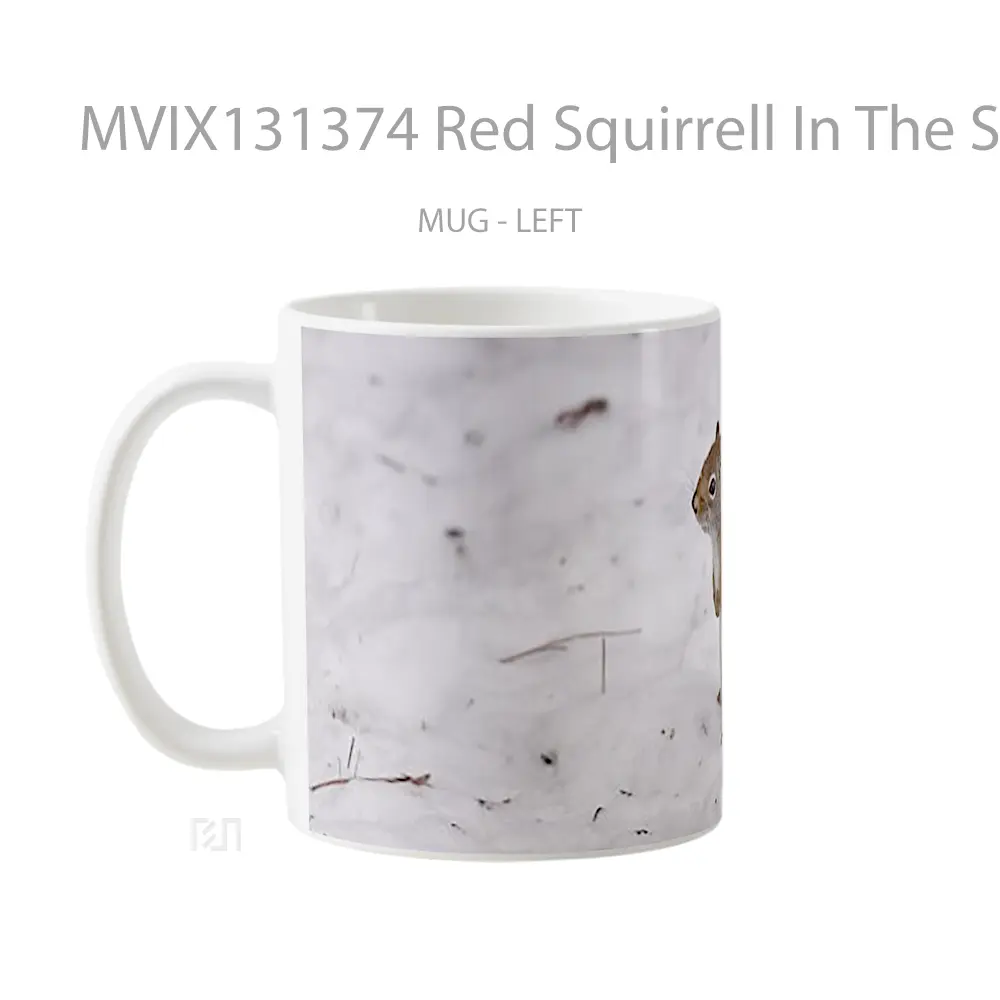Mug Red Squirrell In The Snow Gelas Pemandangan Alam - All-side / Desain